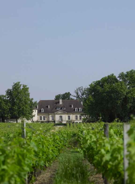 Château Lamothe-Bouscaut