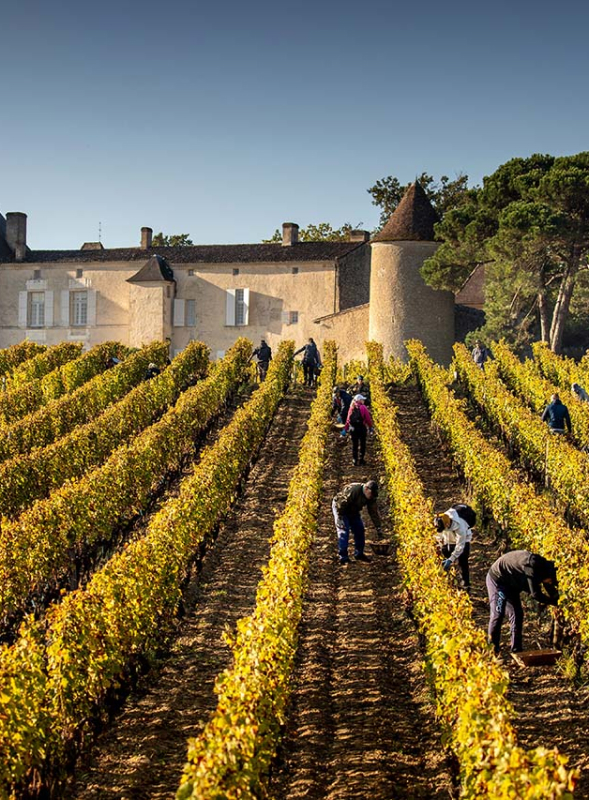 Château d'Yquem