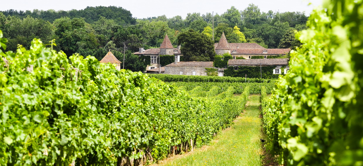 ChateauREYNIer vignoble